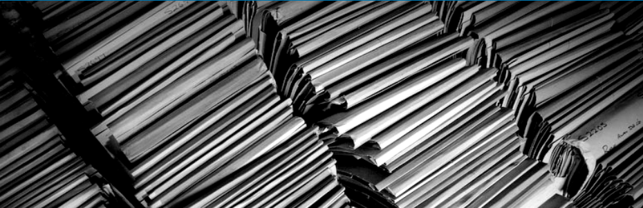 Google Doc Embedder - one of the best WordPress PDF plugins