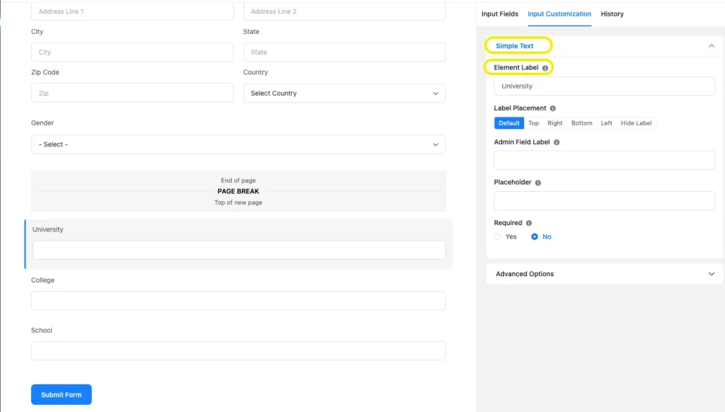 Simple text field- WordPress contact form builder