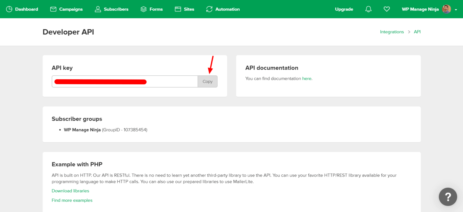 Grow Your Business with MailerLite Email Marketing Tool Fluent Forms