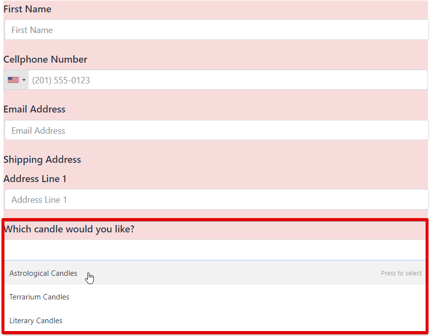 how to create an order form - multiple choice field - fluent forms