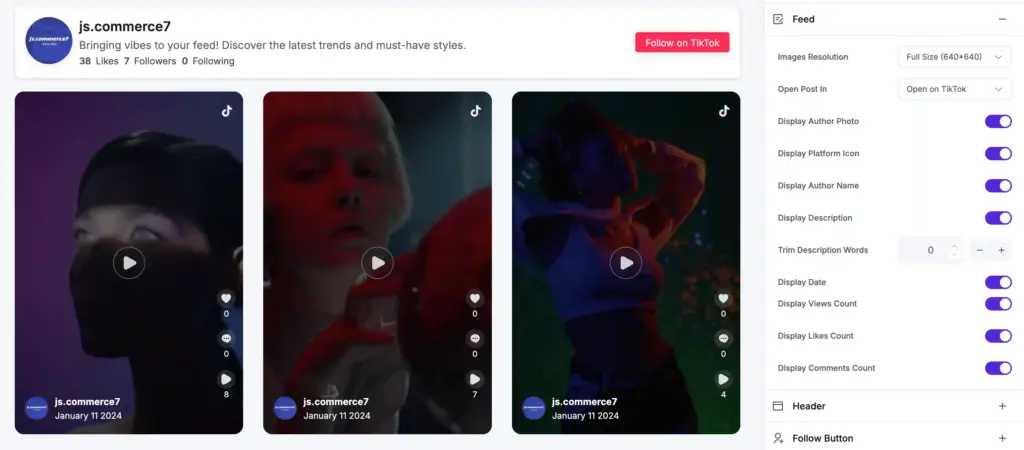 tiktok feed customization features of wp social ninja