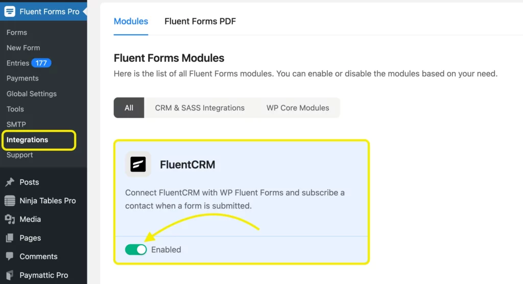 FluentCRM integration with Fluent Forms