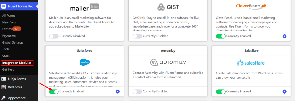 Salesforce integration with Fluent Forms