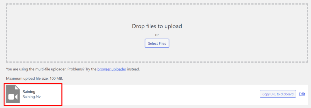 File Upload Successful