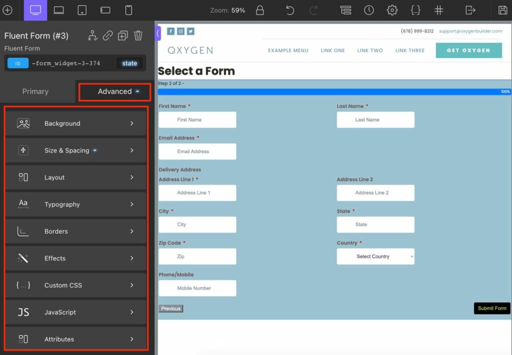 Advanced option in Fluent Forms Oxygen Widget 