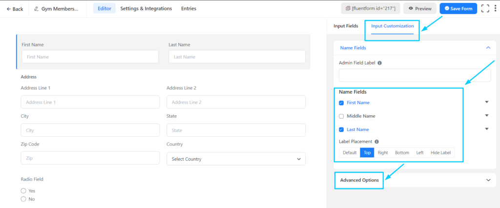 Customize your field with fluent forms
