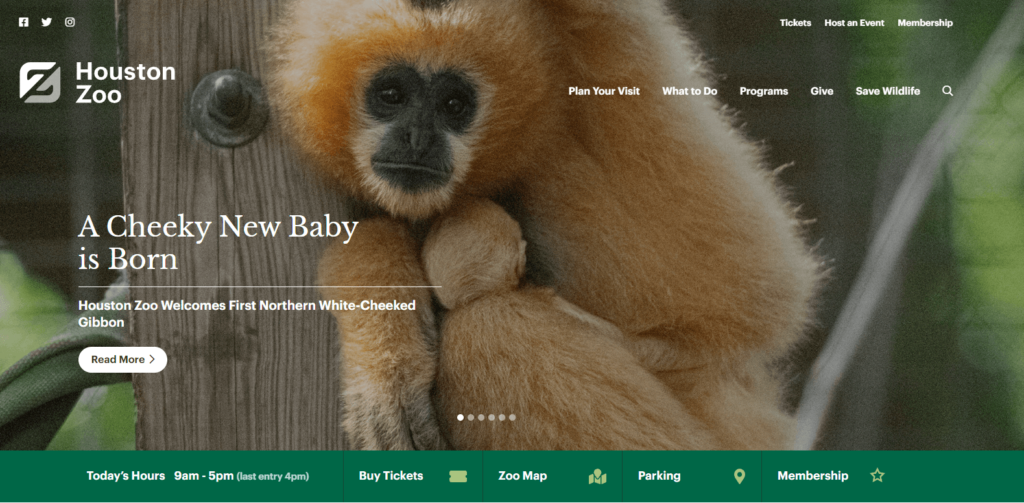 simple wordpress website examples: Houston Zoo