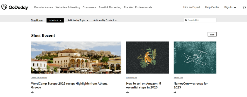 wordpress blog examples: GoDaddy
