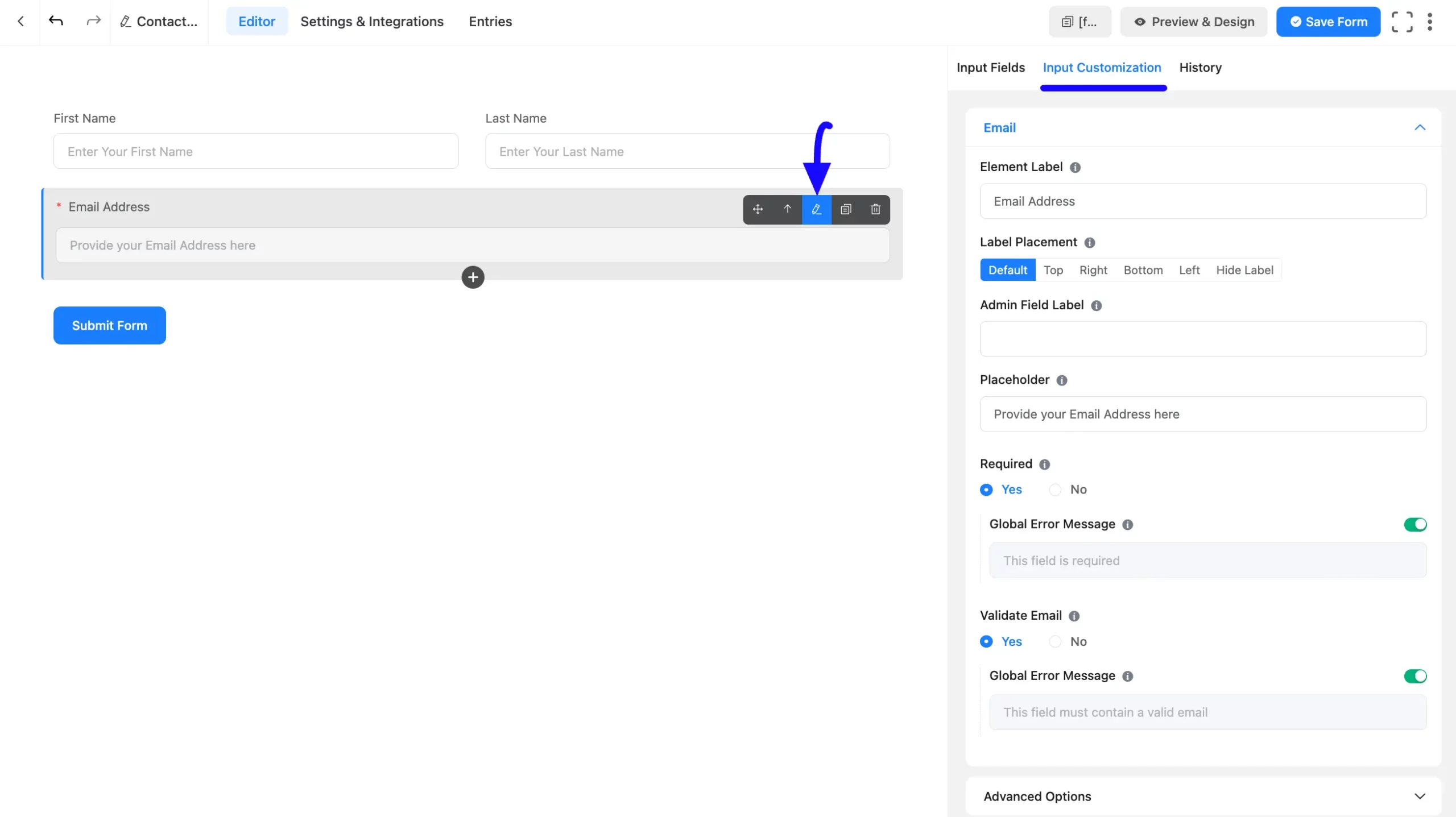 6. Edit Icon or Input Customization button scaled 45036