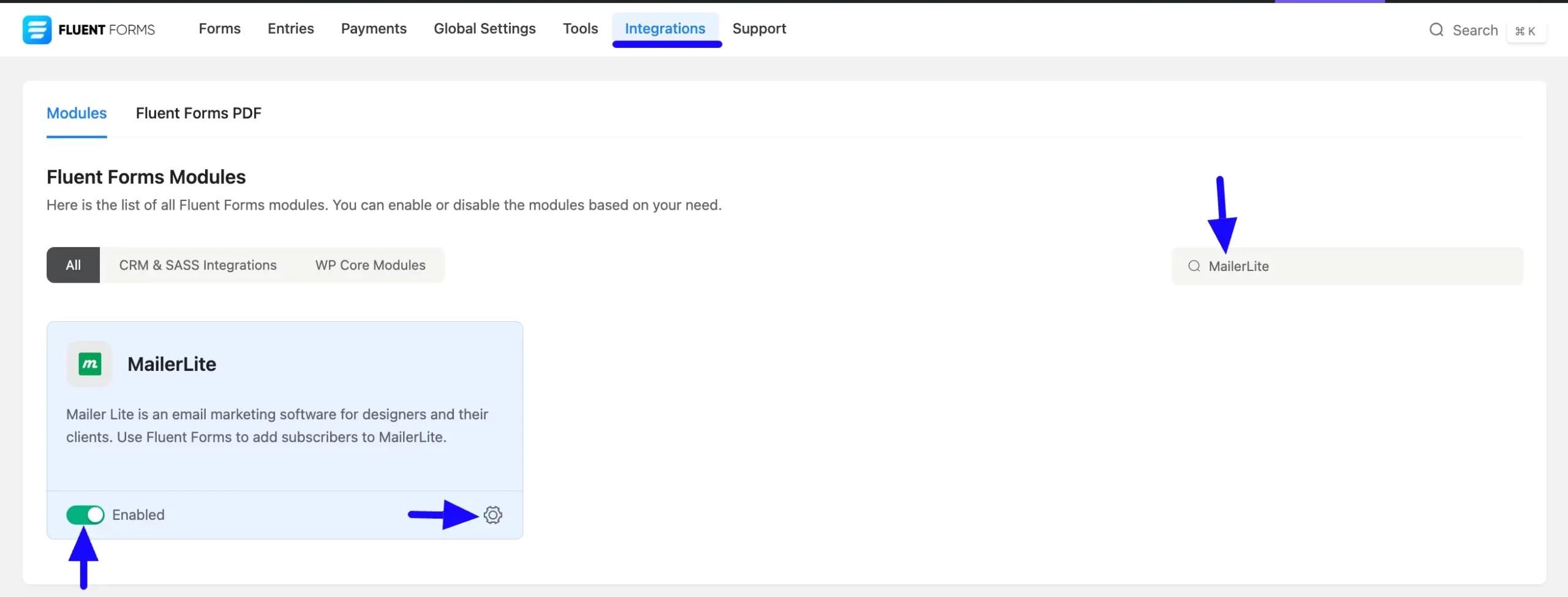 1. Enabled MailerLite scaled 46682