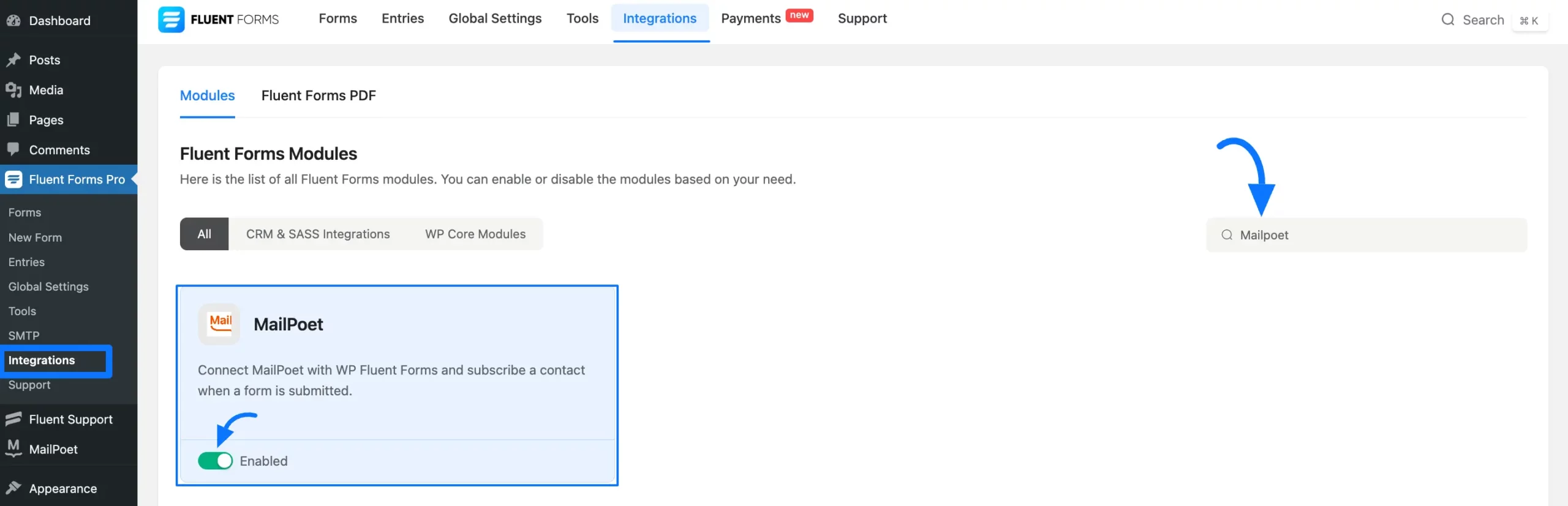 3. Enable MailPoet scaled 46727
