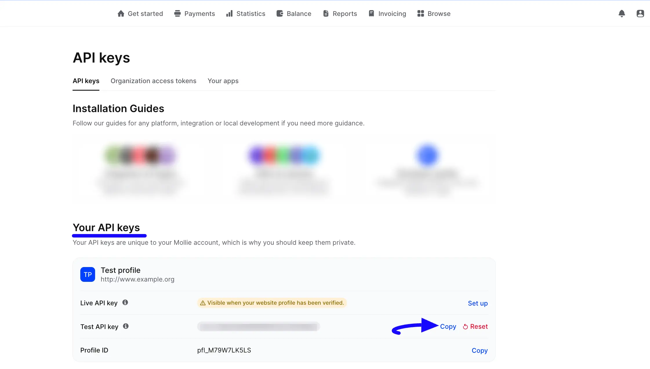 4. Copy API Key 1 48162