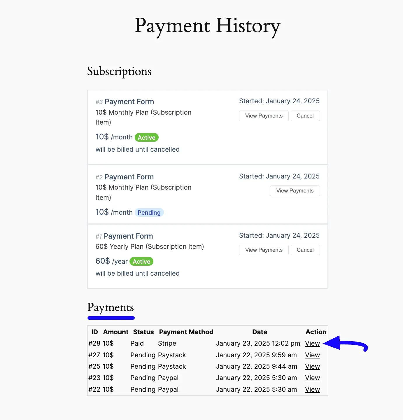8. Payment History View button 48169