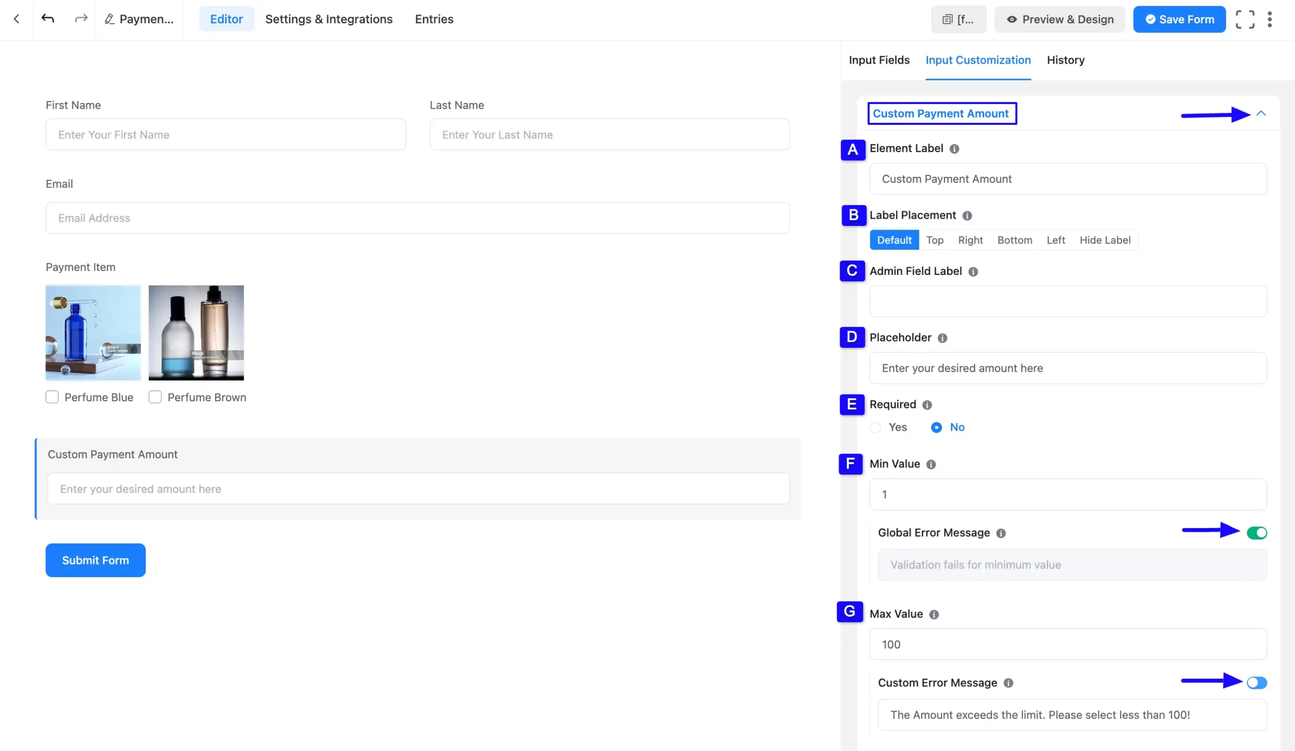 4. Custom Payment Amount option scaled 48589