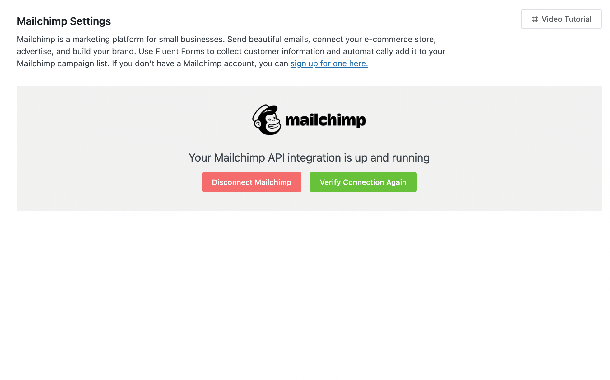 Mailchimp API activated