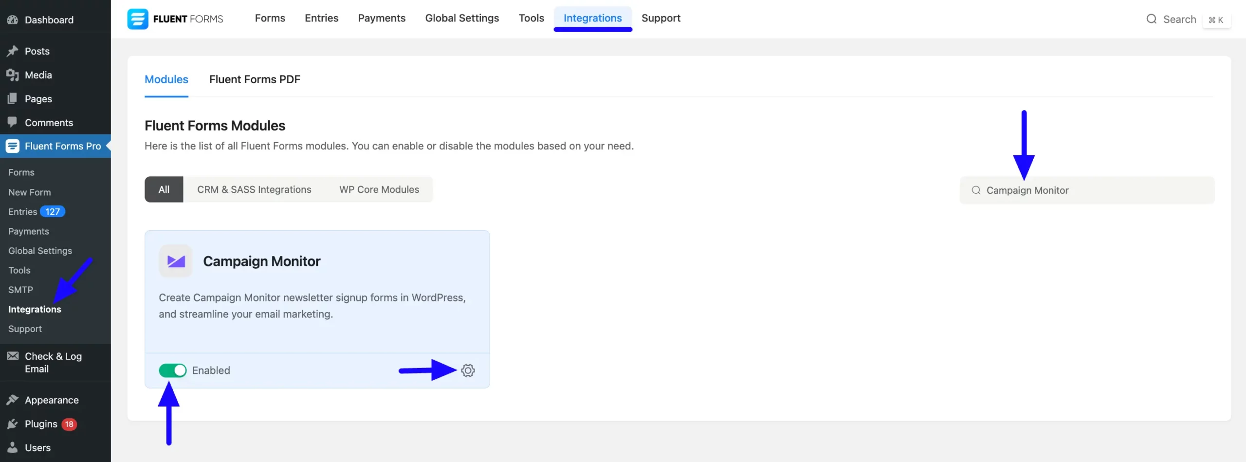 1. Enable Campaign Monitor scaled 50955