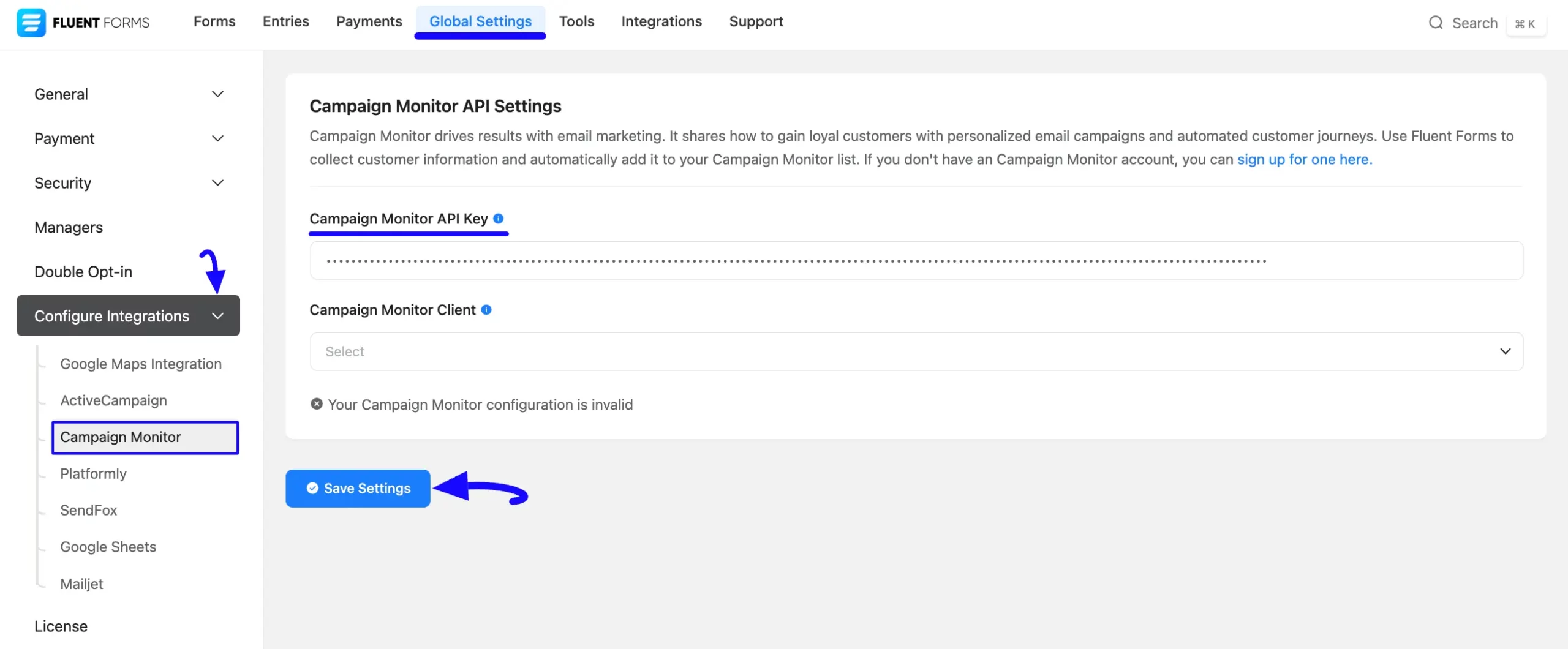 7. Paste API Key 1 scaled 50955