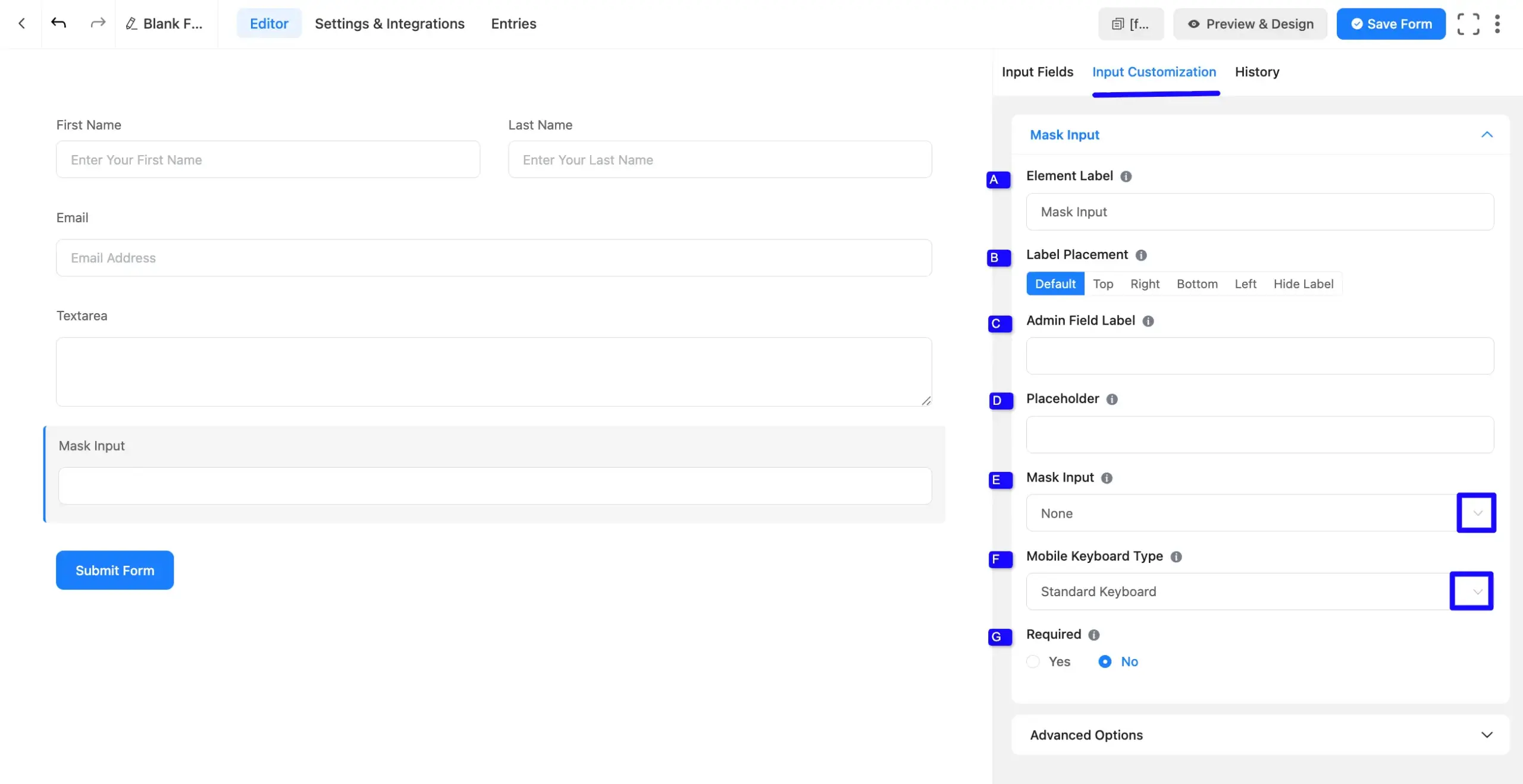 mask input options scaled 49067