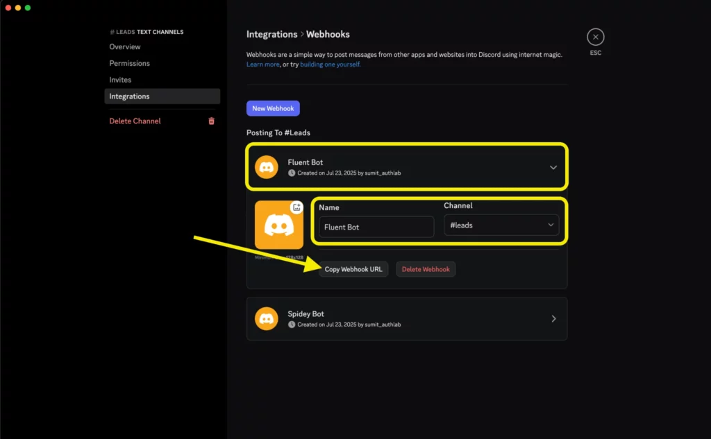 Webhook details in Discord with URL copy option for Fluent Forms integration