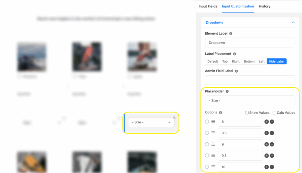 Dropdown field to show product size Fluent Forms