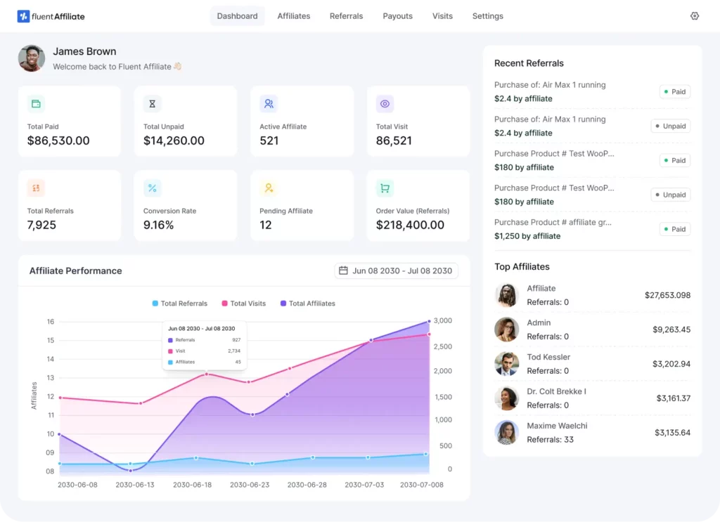 FluentAffiliate dashboard