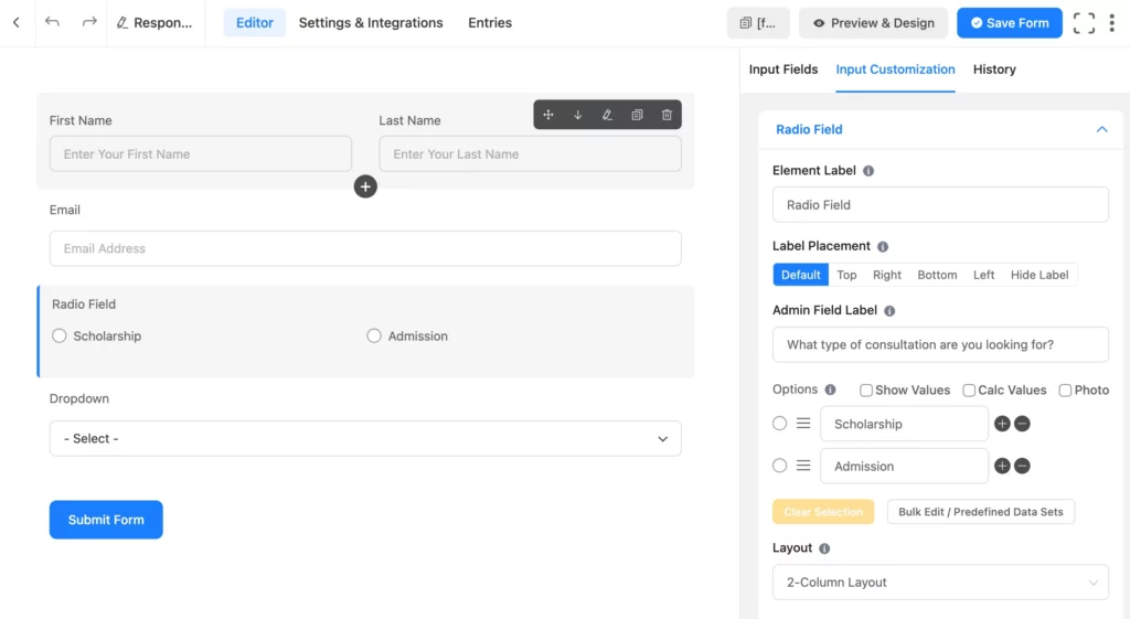 Customize input fields in Fluent Forms to create responsive forms.