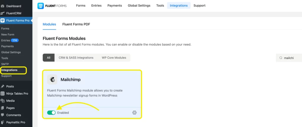 Mailchimp Integration to WordPress Forms- Fluent Forms