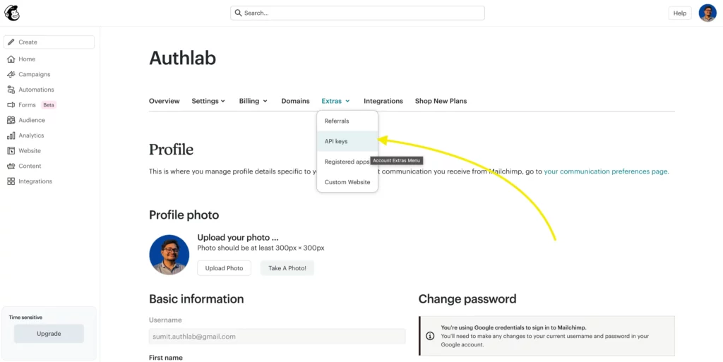 Mailchimp-Profile-Extras-API-Keys