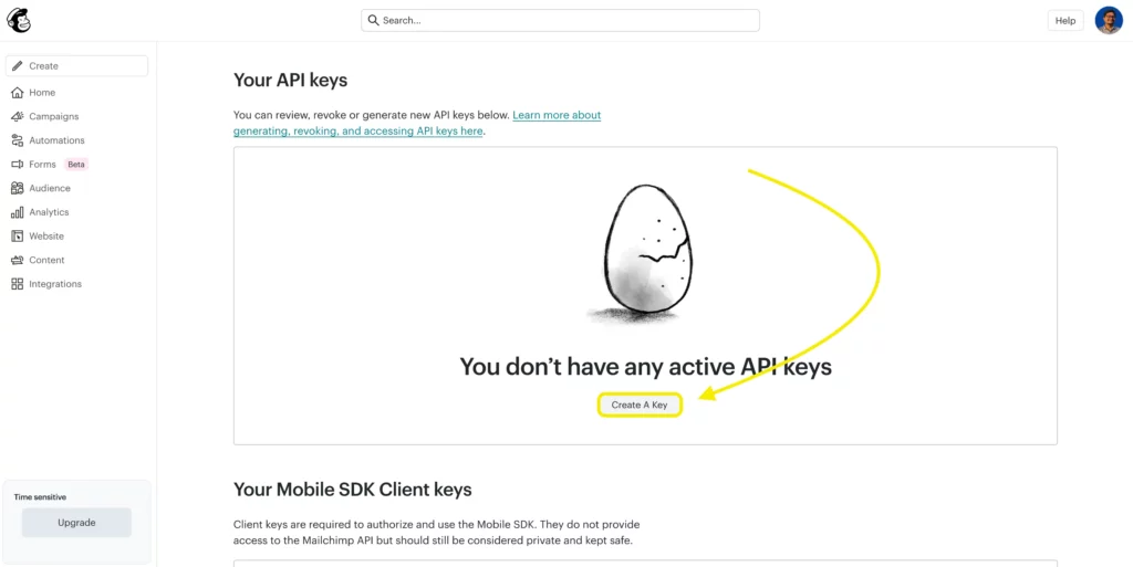 Mailchimp- Generate A Key