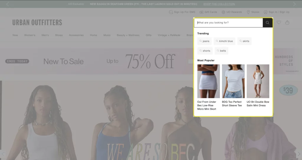 ecommerce searchbar form