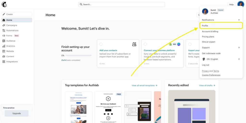 Mailchimp-Profile