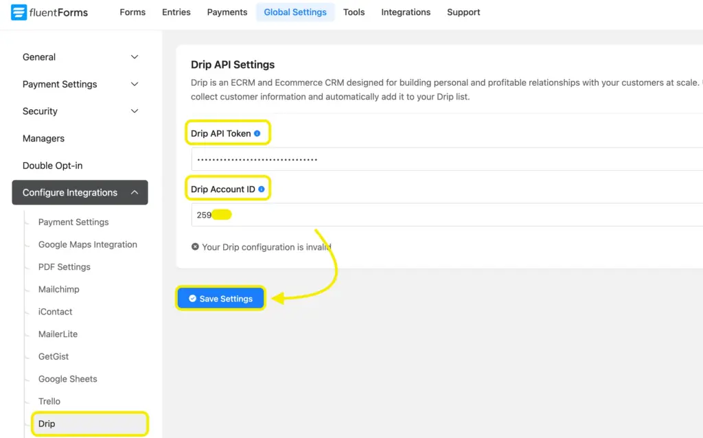 Drip Api pasted in Fluent Forms 