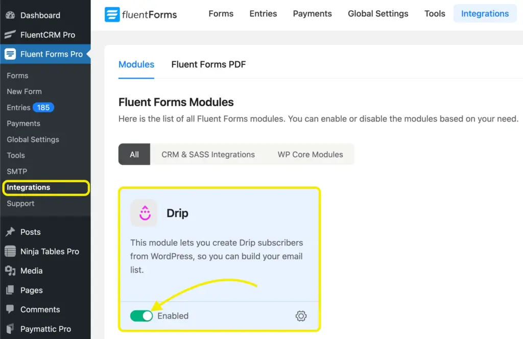 Drip Integration module Fluent Forms