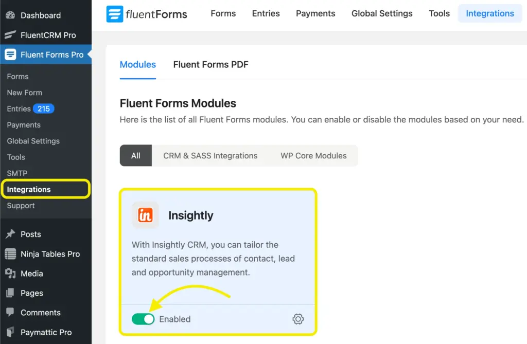 Insightly integration module for WordPress- Fluent Forms