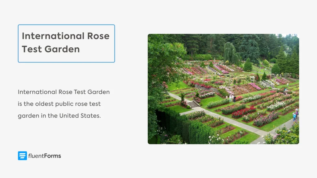International Rose Test Garden Portland