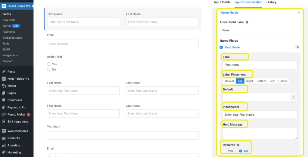 Input Customization for name field- Fluent Forms