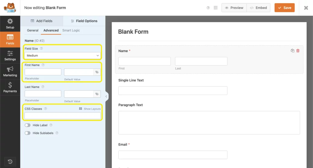 Advanced input field options- Fluent Forms