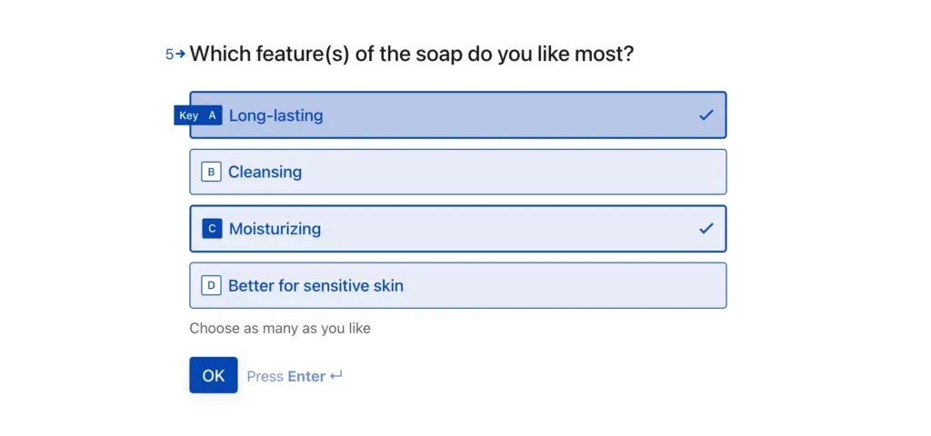 Fluent Forms preview page of conversational form.