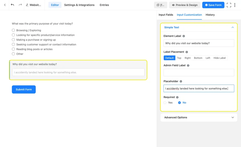 Add an "other" option to radio and checkbox fields