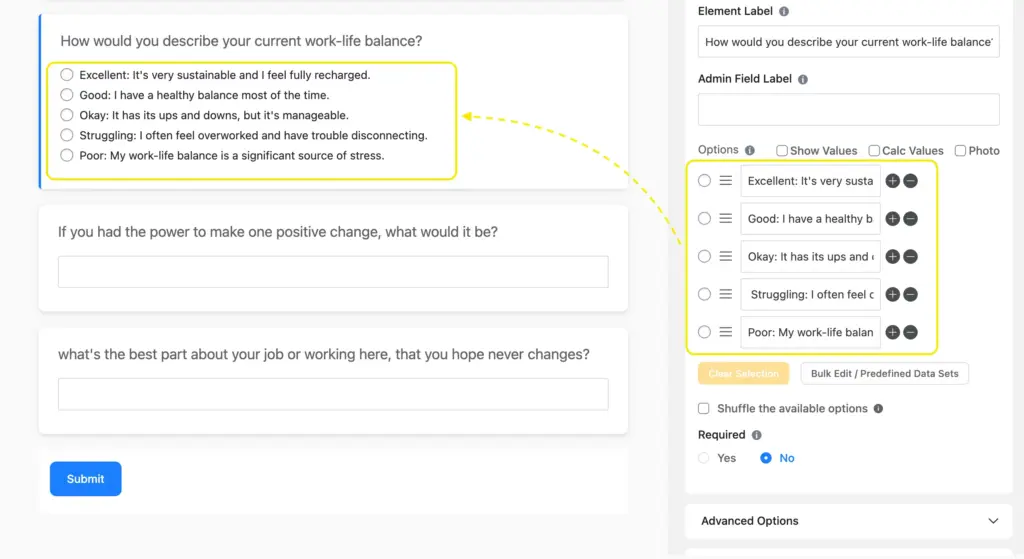 how to customize a field for conversational forms