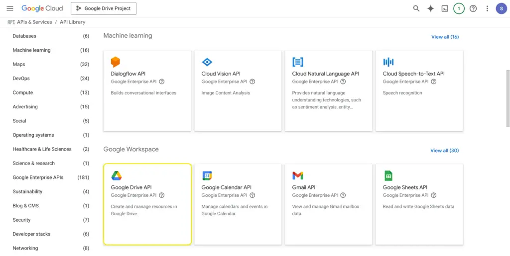 select “Google Drive API”