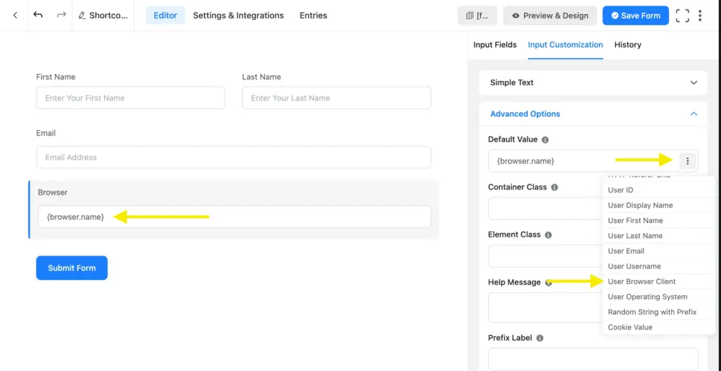 Fluent Forms shortcodes for User Browser Client data prefill
