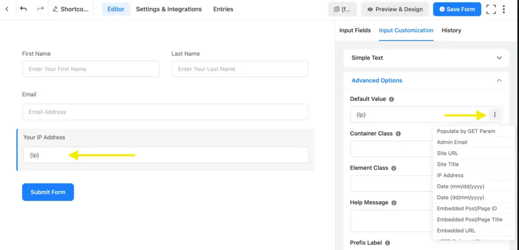 User's IP address shortcode in Fluent Forms editor