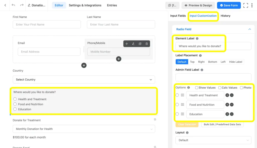 Customize the Fluent Forms fields easily by clicking on the field you want to customize.