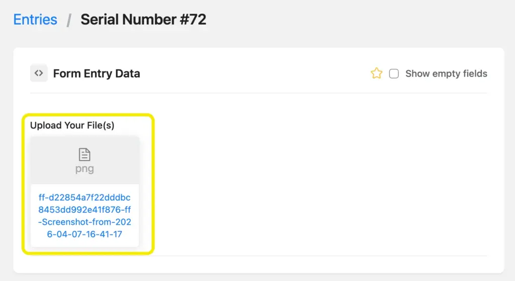 Uploaded files in entries