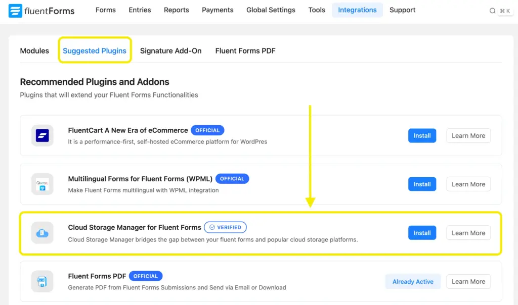 Suggested plugins - Cloud Storage Manager for Fluent Forms