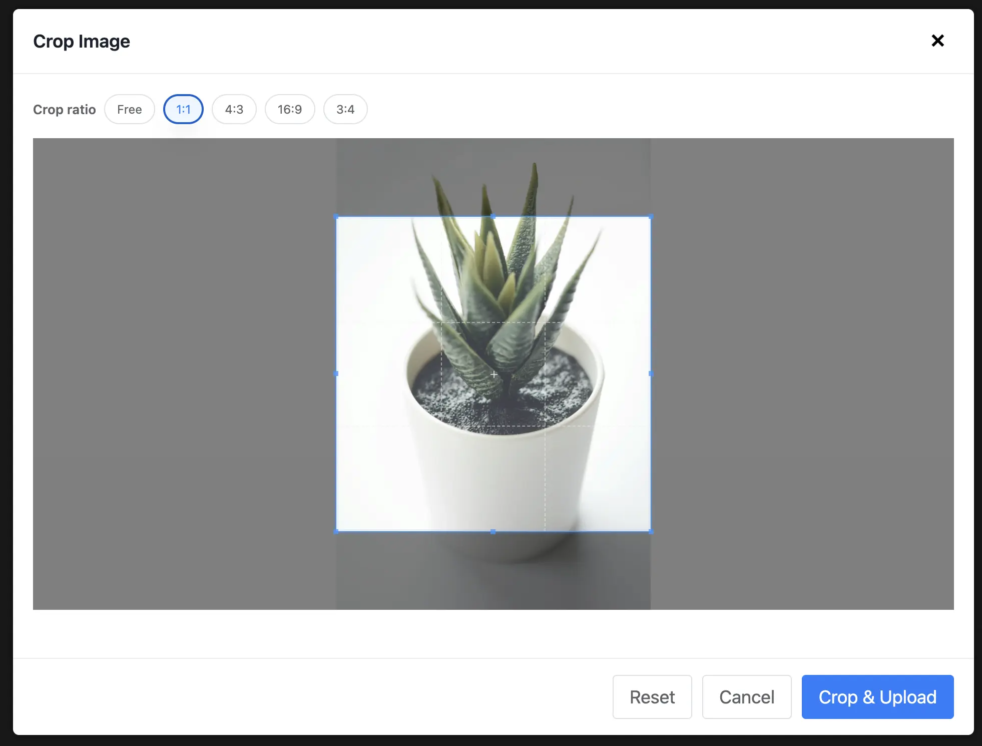 Image cropping modal overlaid on a Fluent Forms upload field showing a 1:1 ratio crop selection