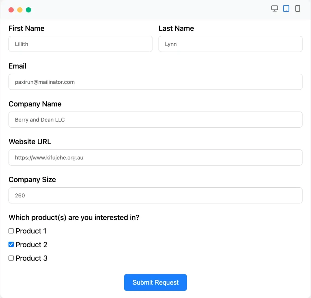 Submit a test entry in Fluent Forms