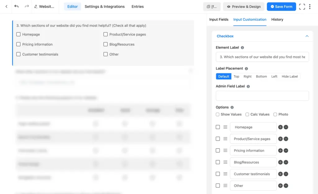 Fluent Forms checkbox field with multiple selectable options and Other enabled
