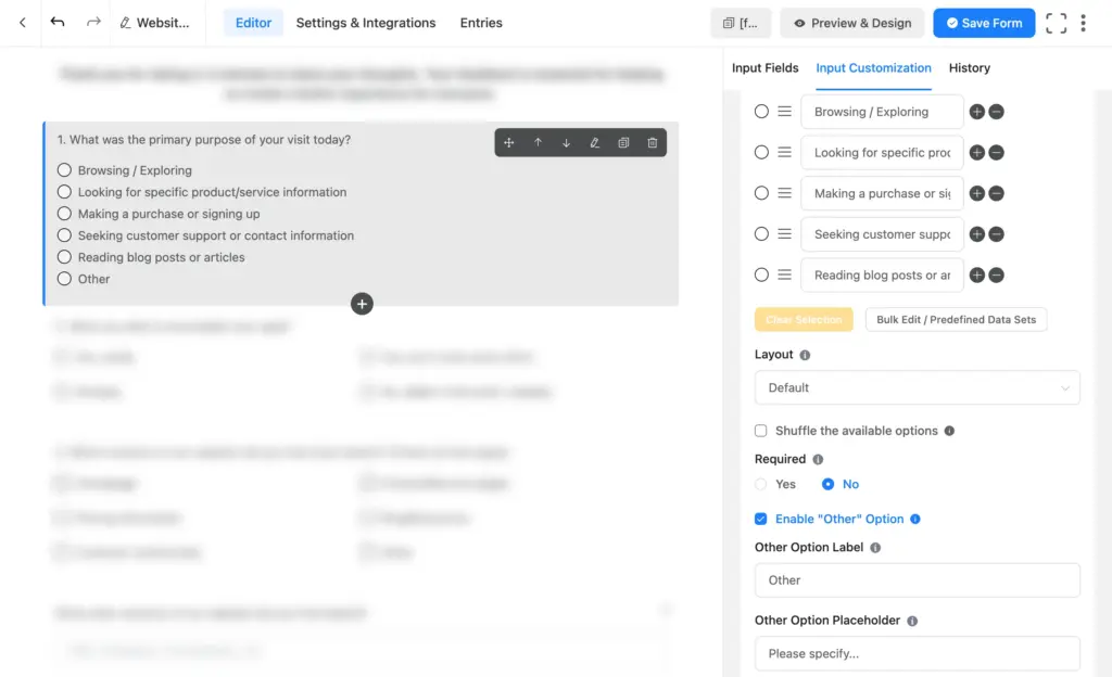 Fluent Forms radio field with the built-in “Other” option enabled
